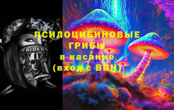 марки nbome Богданович